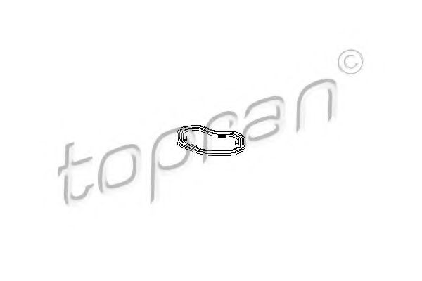 Уплотняющее кольцо, сетчатый масляный фильтр  арт. 109661